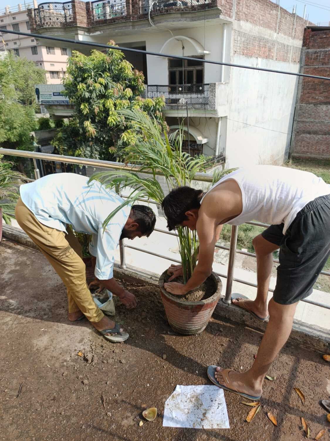 Student Activities